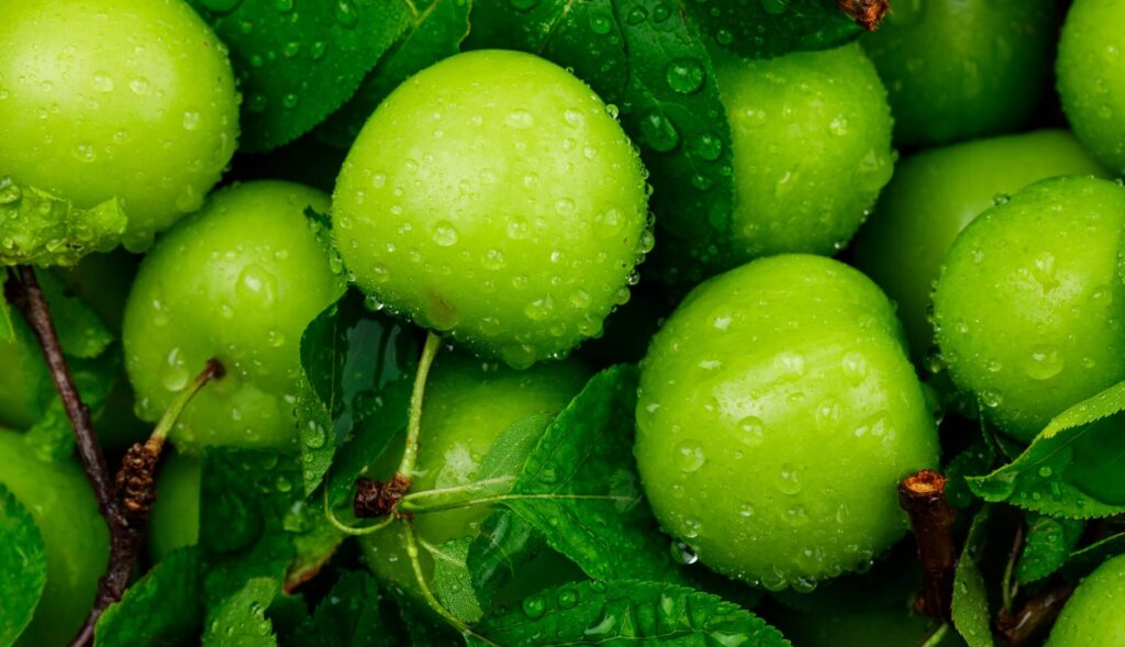 Amazing health benefits of Indian gooseberry