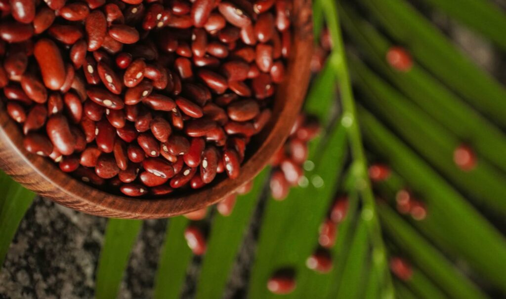 Kidney beans are good source of carbs
