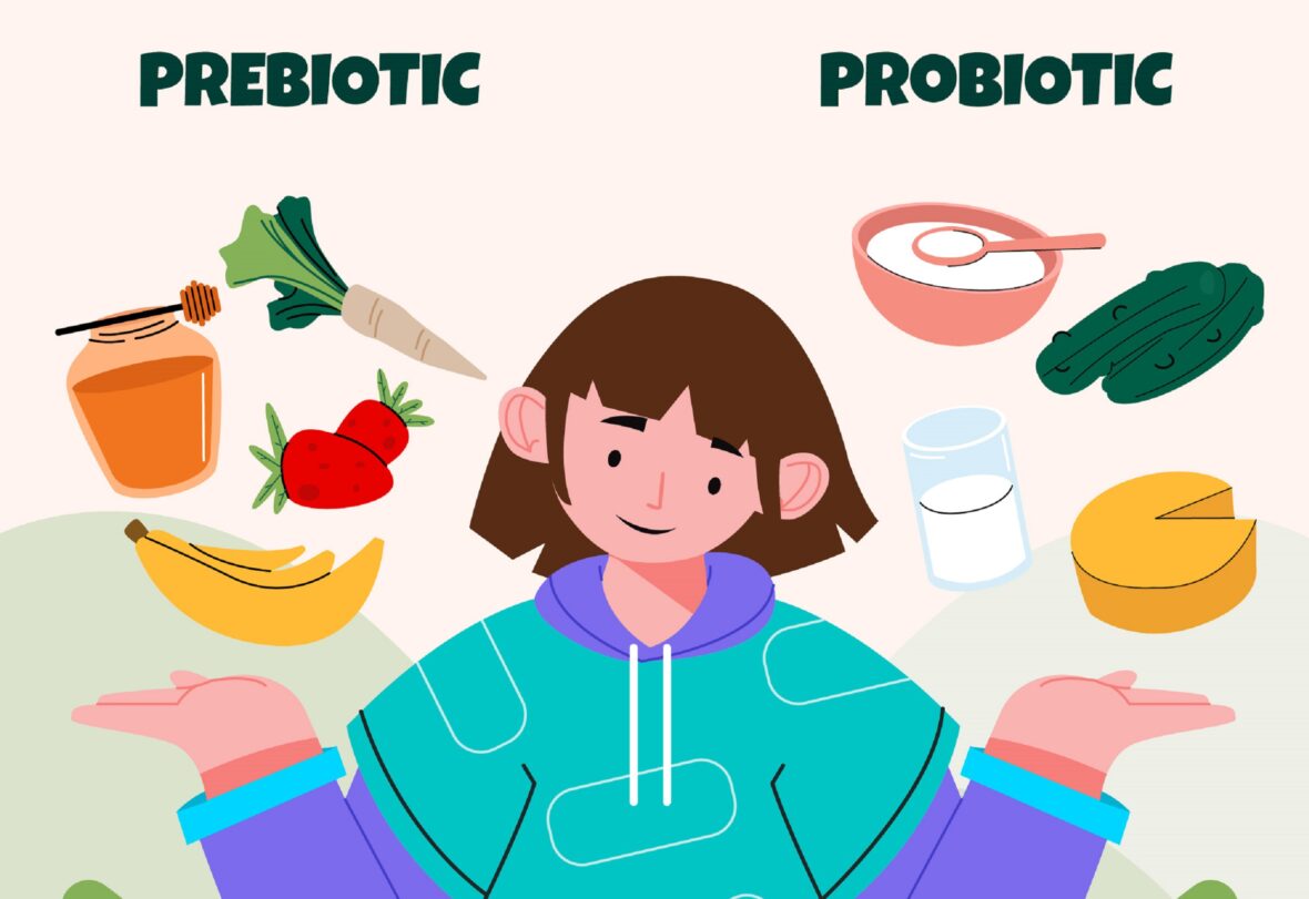 Prebiotic & probiotic support gut health